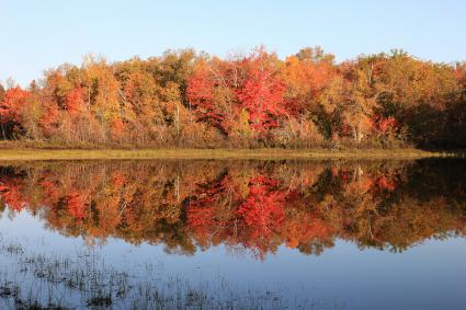 Autumn Reflections by Travis Novitsky